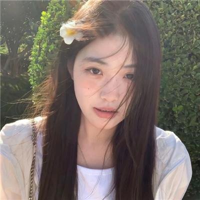 蠢狗记